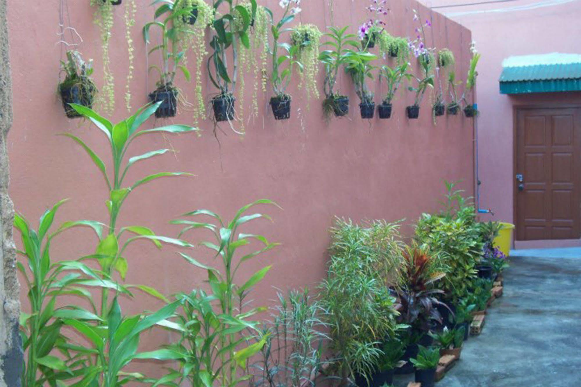 D's Corner&pensión Phuket Exterior foto